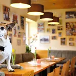 Hotel Fis